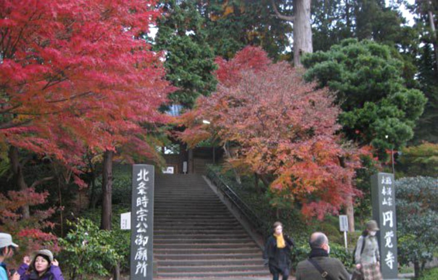 Kamakura Autumn Colors Report