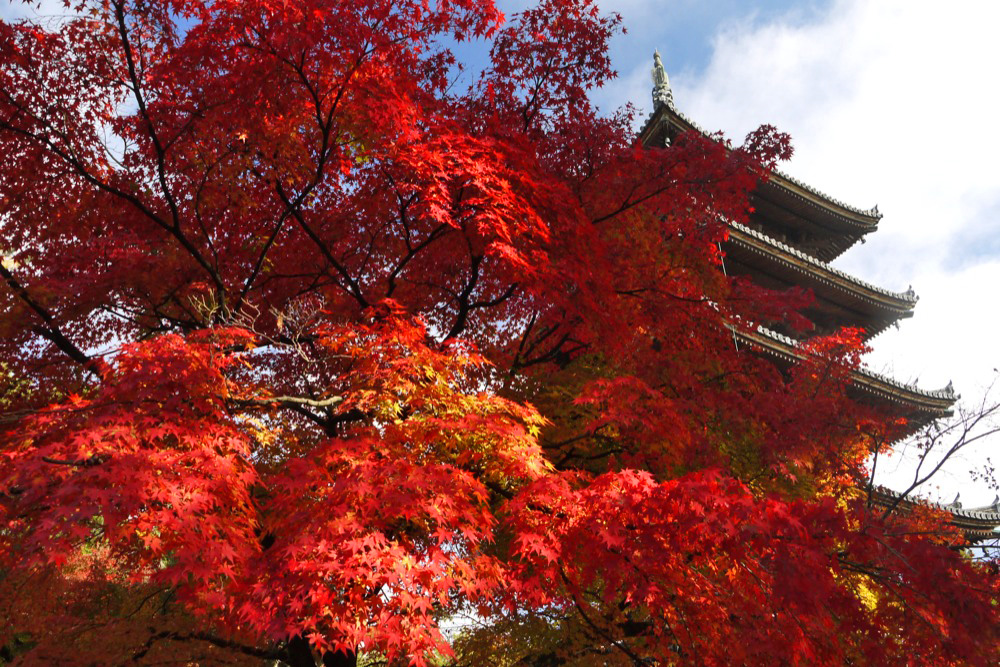 8. Ninna-ji (Kyoto)