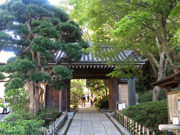 4. Hokokuji temple
