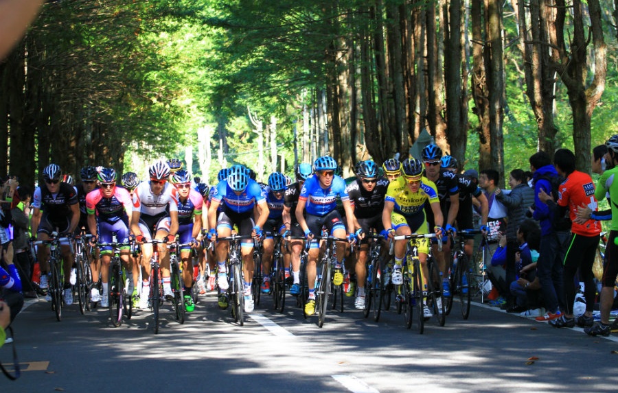 11 Lesser-Known Sporting Competitions in Japan