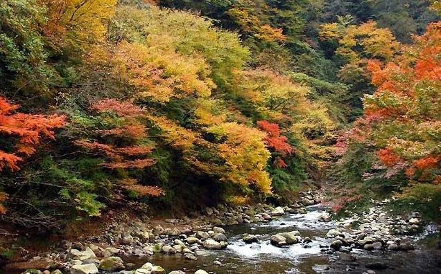 3. 하코네 유모토