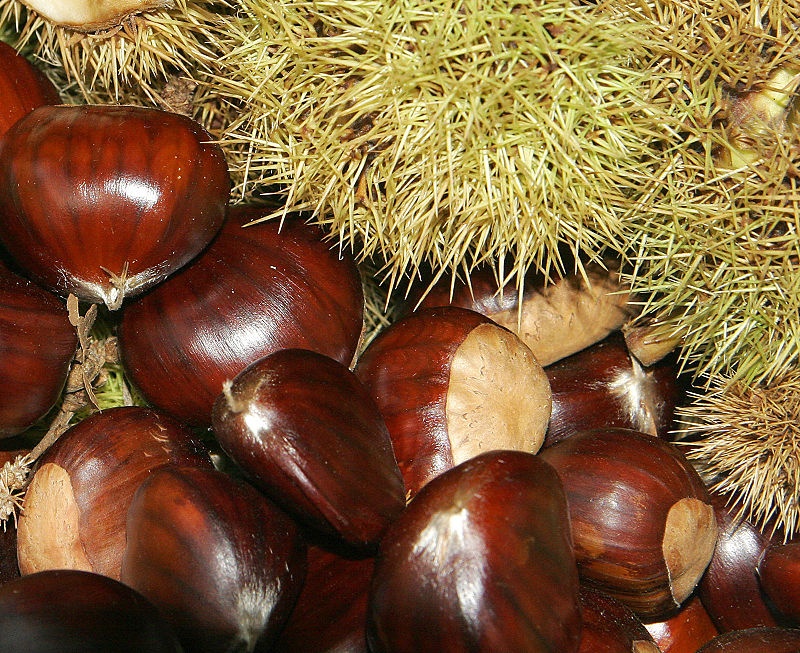 2. Chestnuts