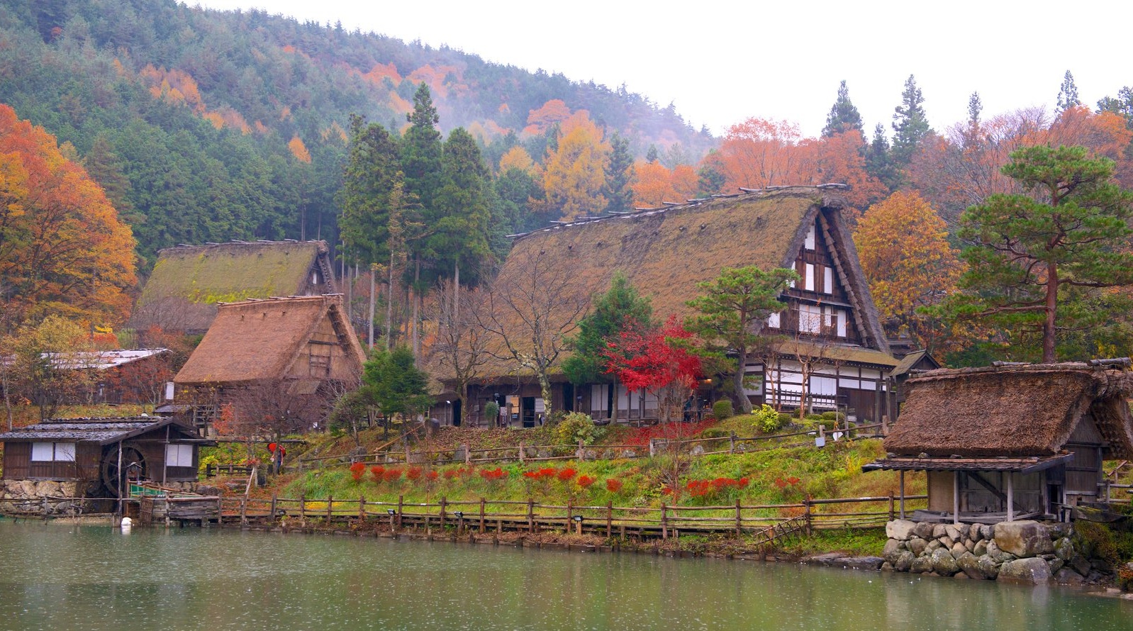 Top 4 Fall Foliage Spots around Takayama