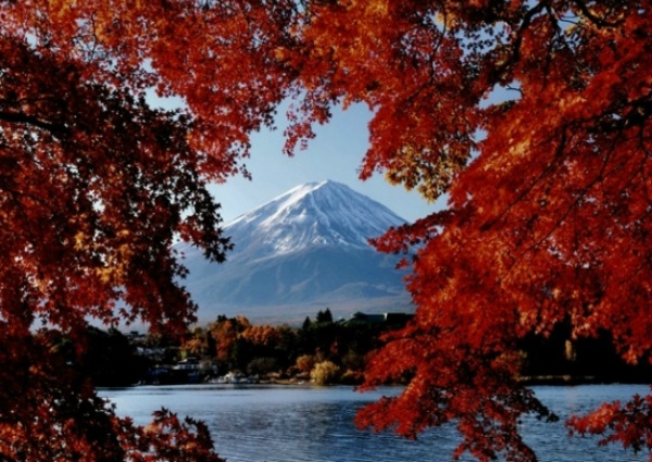 2. Mount Fuji Autumn Foliage Viewing Tour (Tokyo)