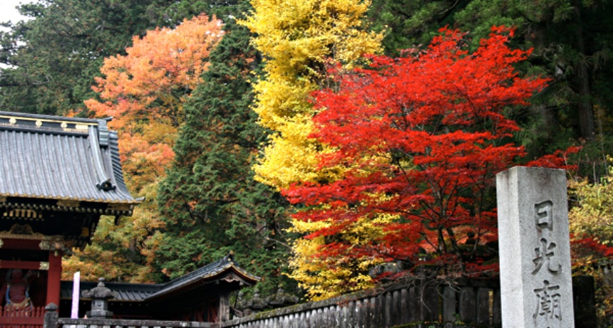 Fall, My Favorite Japanese Season