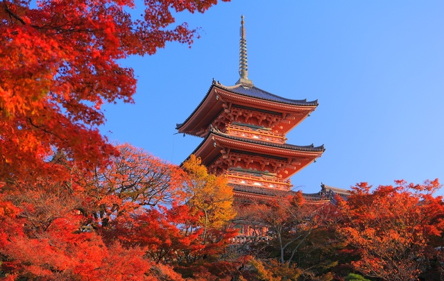 9. Koyo (Autumn Colors)