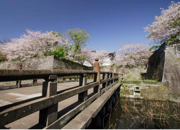 Kagoshima Castle