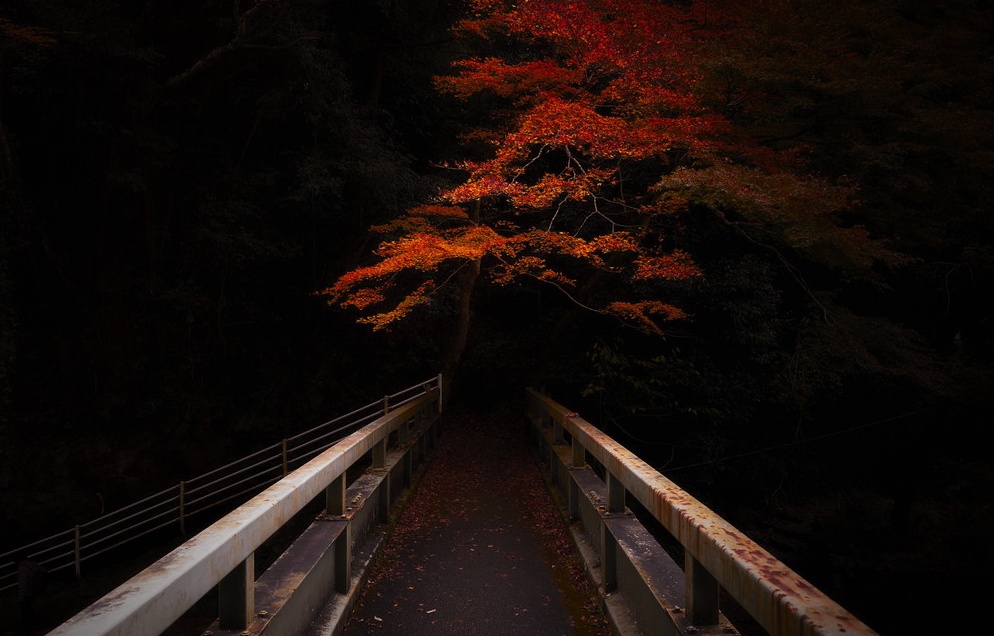 暗物质 － 和摄影师小川康博一起迷失京都