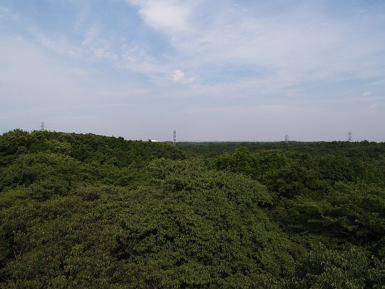 3. My Neighbor Totoro: Sayama Hills (Tokyo)