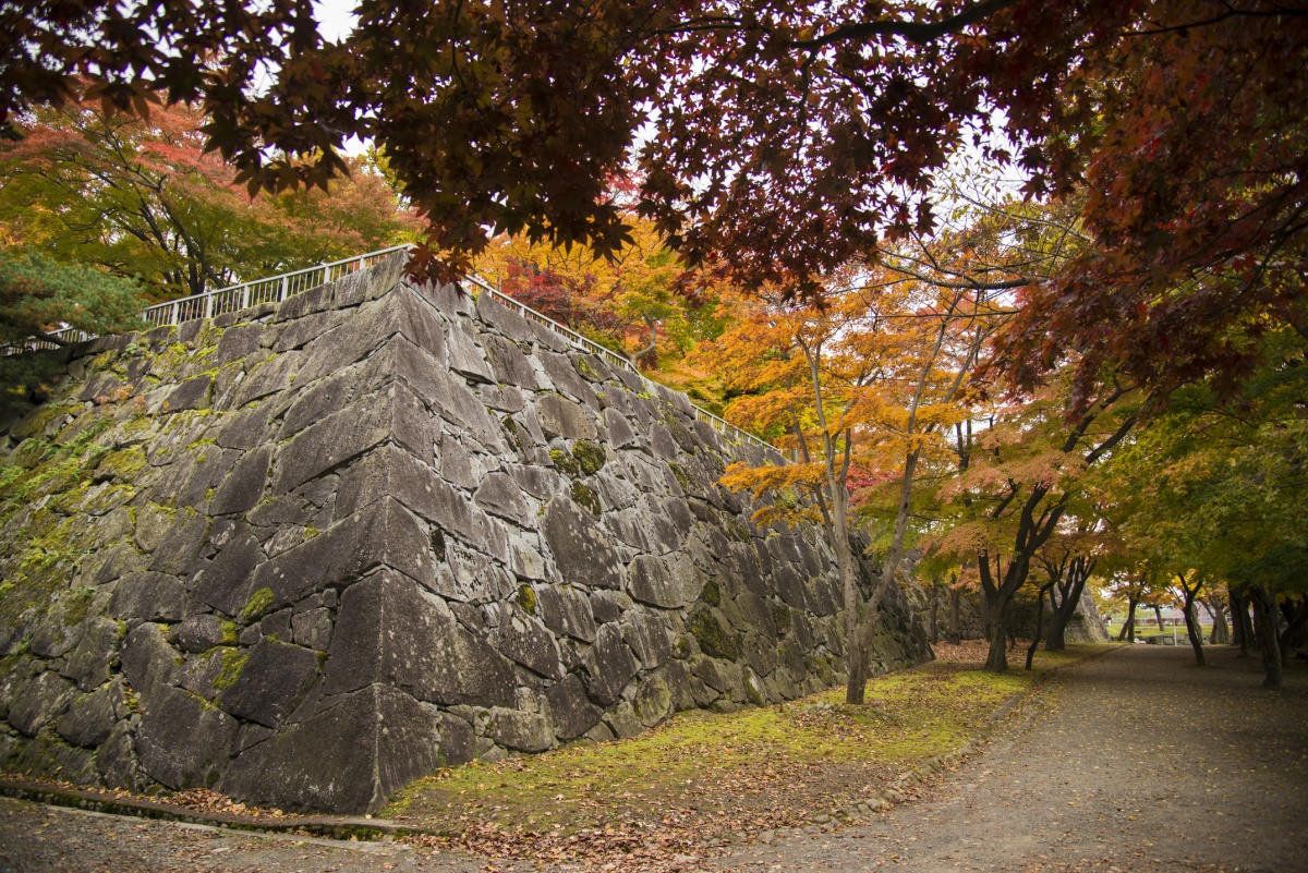 5. Iwate Park (Iwate)