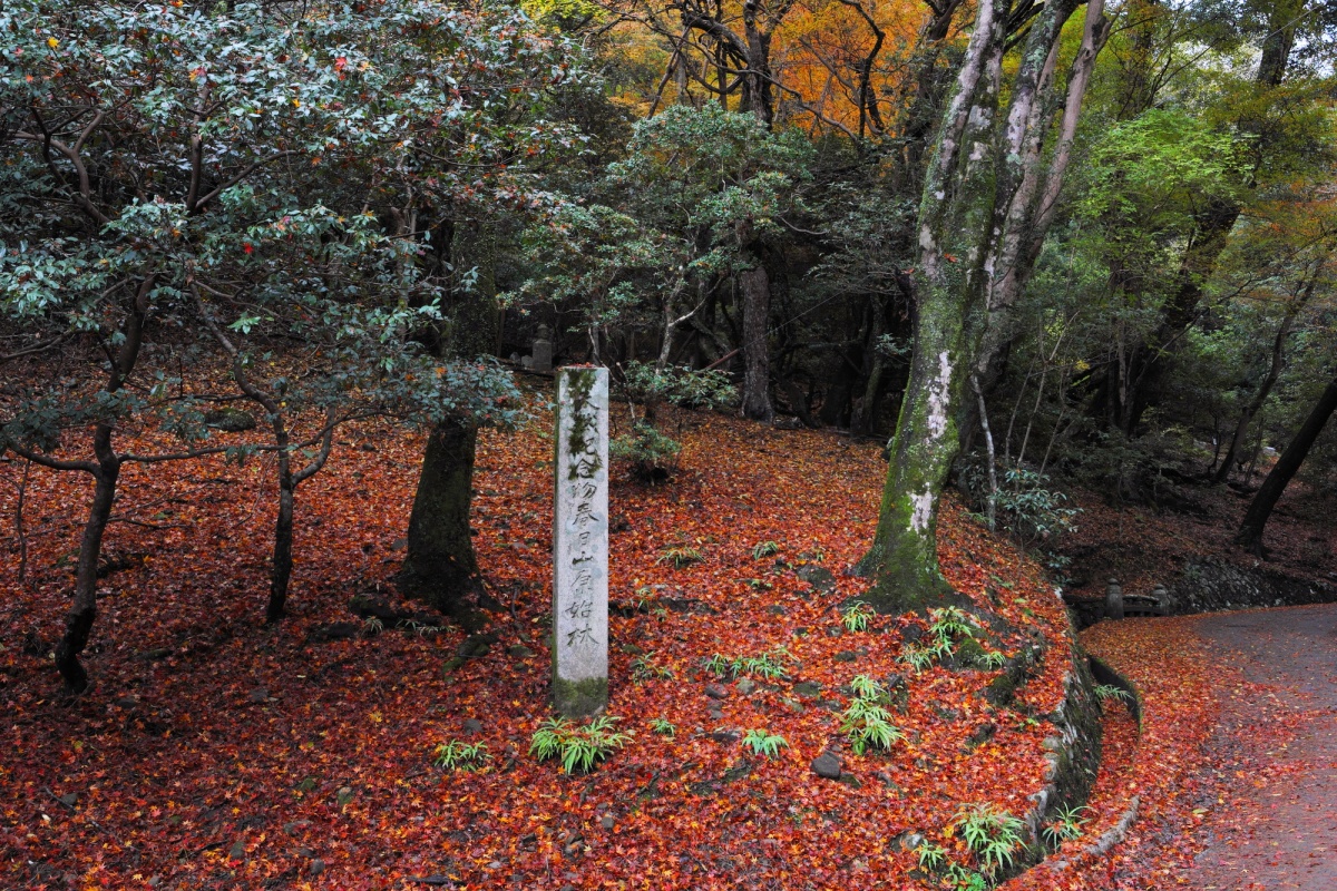 8. Kasugayama Primeval Forest