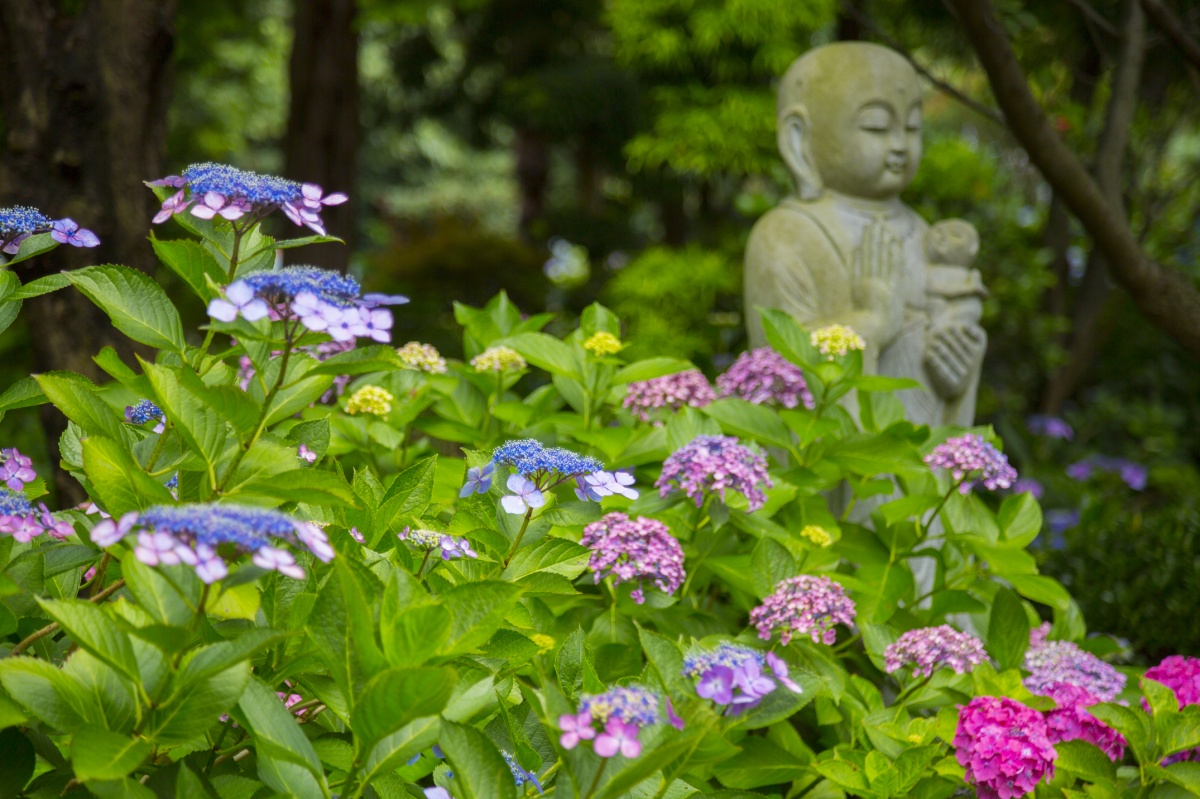 10. Jizo