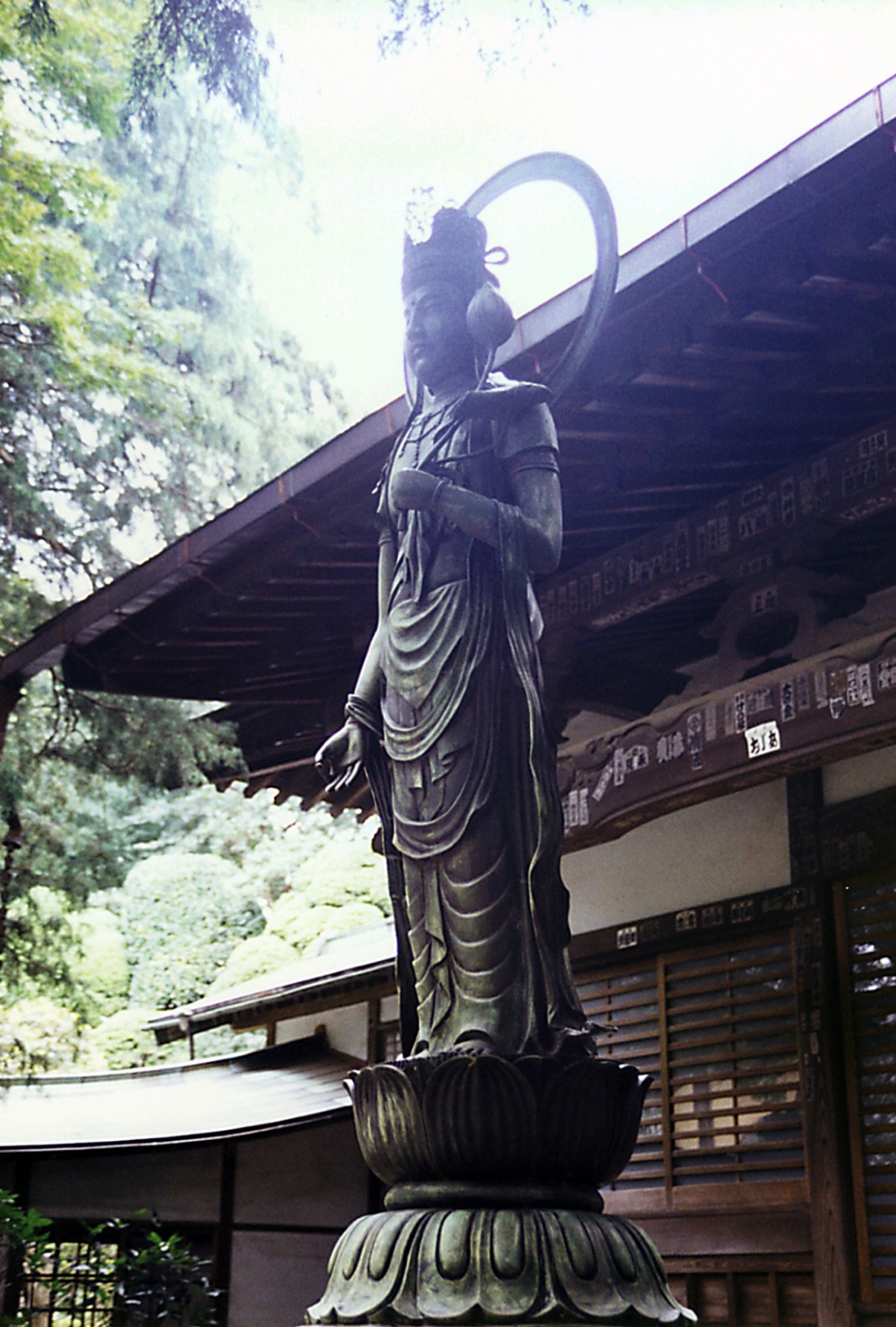 5. Kannon