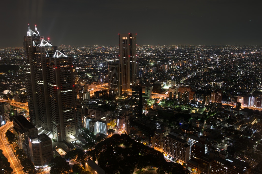 2. Tokyo Metropolitan Government Building Observatories