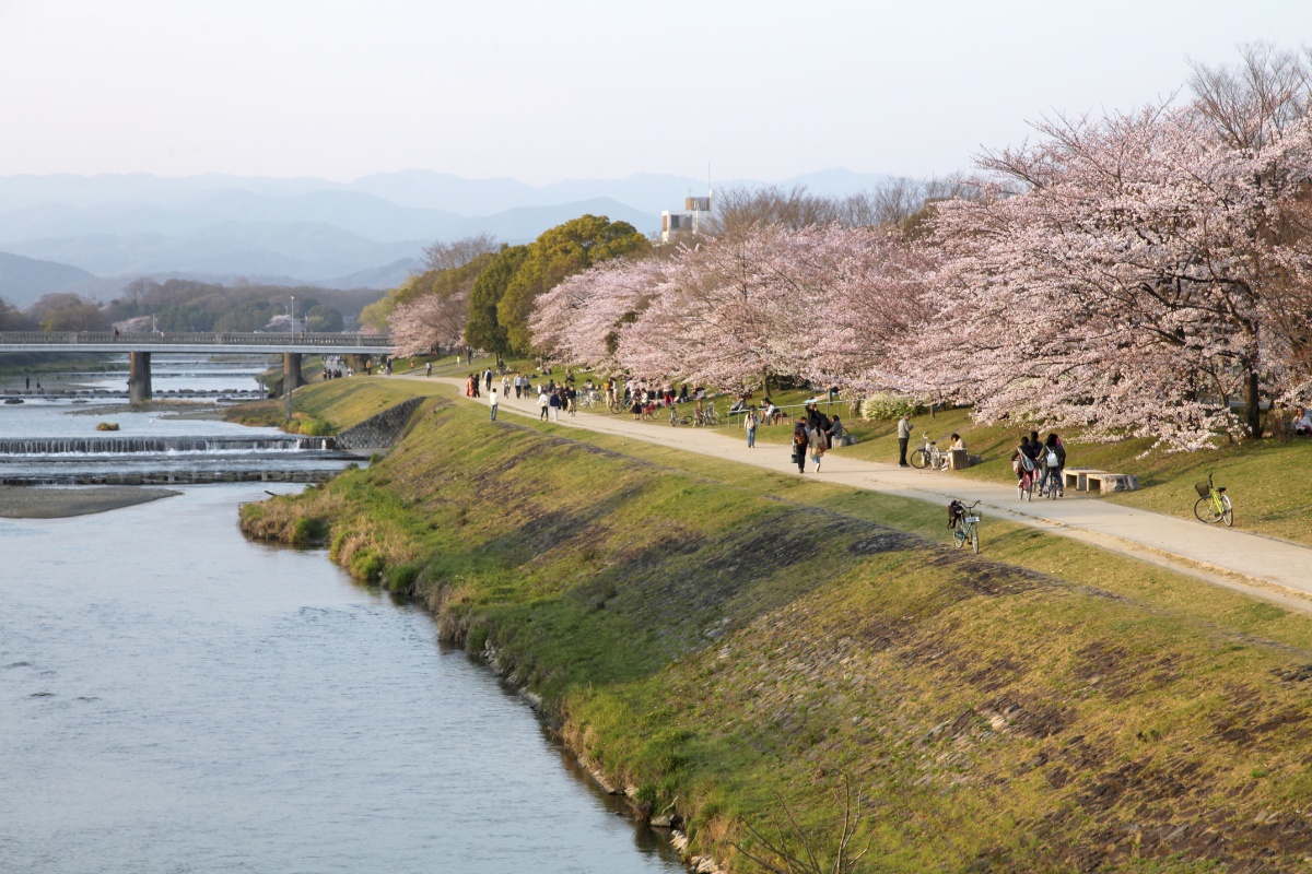 2. Kamo River (Eastern Kyoto)