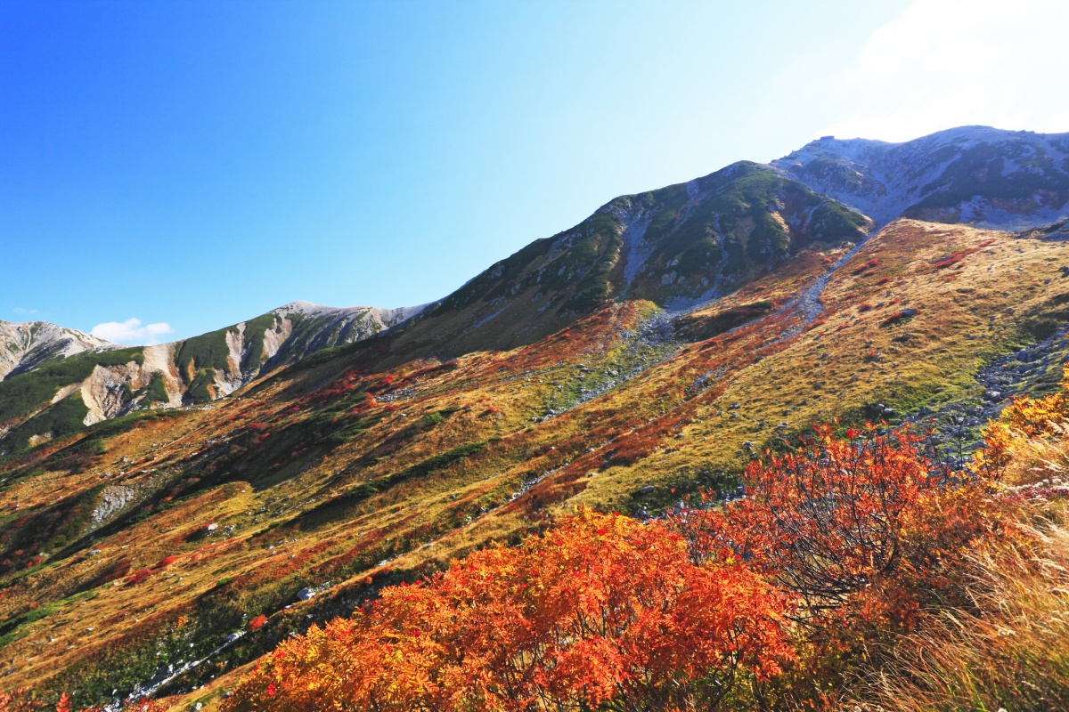 5. Tateyama Kurobe Alpine Route (Toyama)