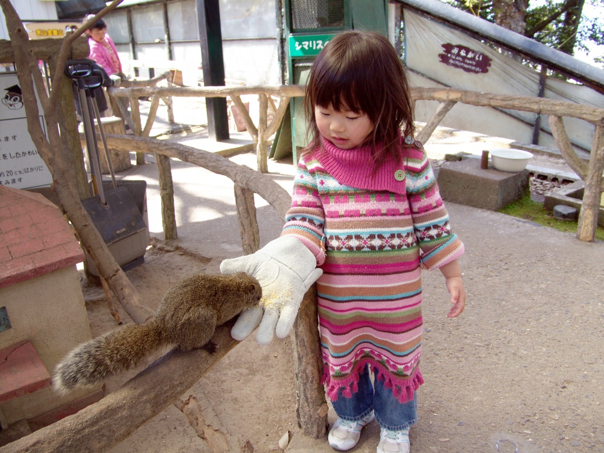 The Squirrel Village