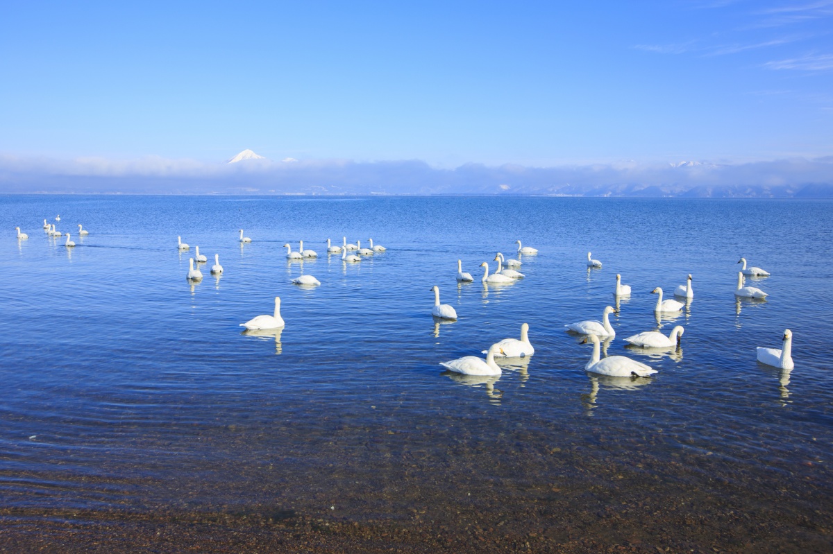 5. Lake Inawashiro (Fukushima)