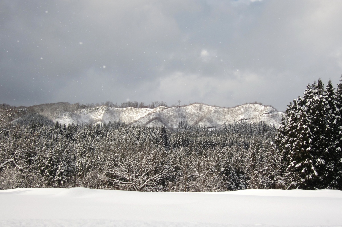 6. Appreciate the Year's First Snowfall