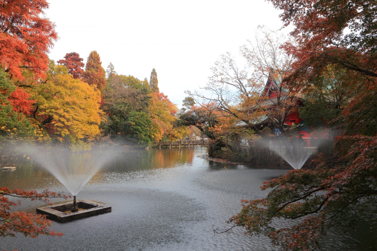 3. สวนสาธารณะ Inokashira (Kichijoji)