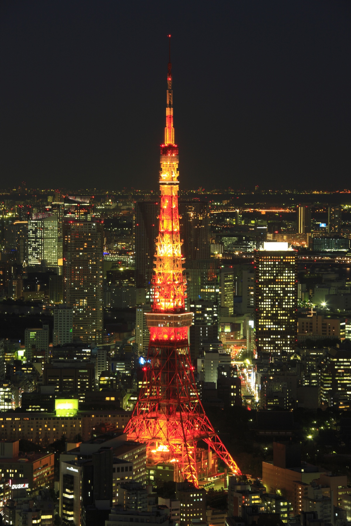 9. Tokyo Tower (Tokyo)
