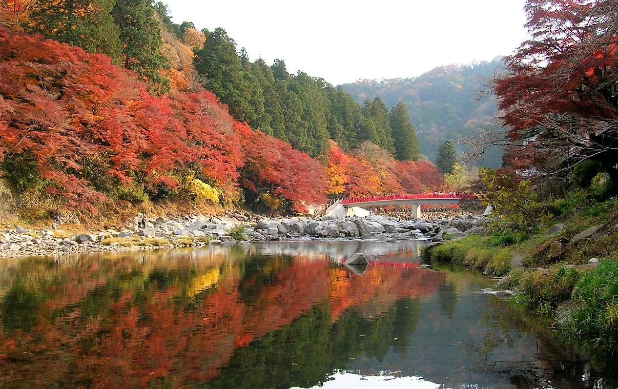 日本东海地区3大秋季观光景点