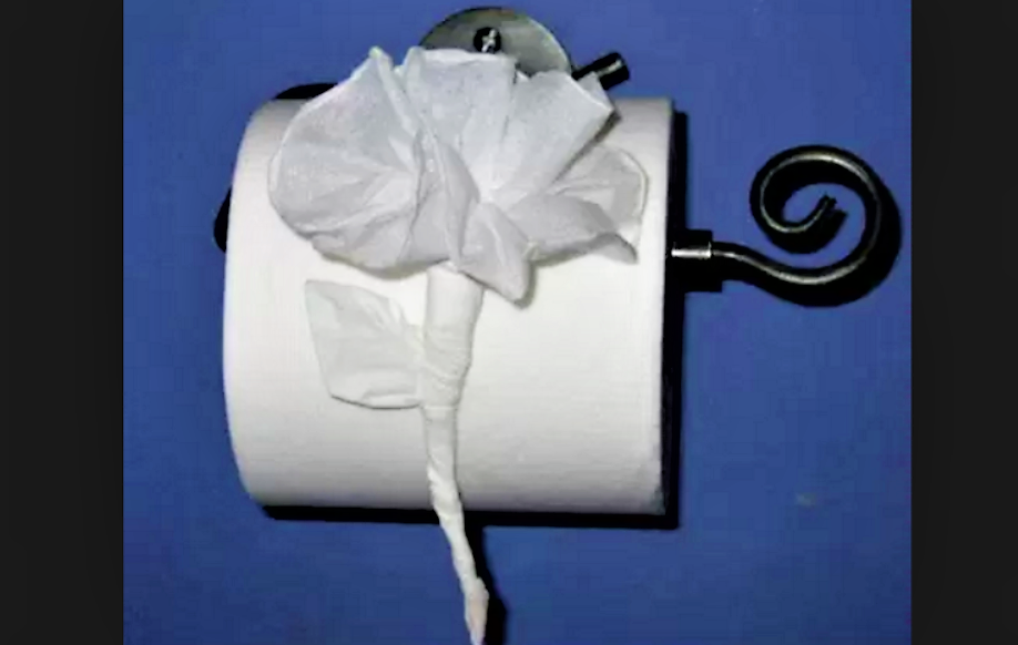 Impress House Guests With Toilet Paper Origami
