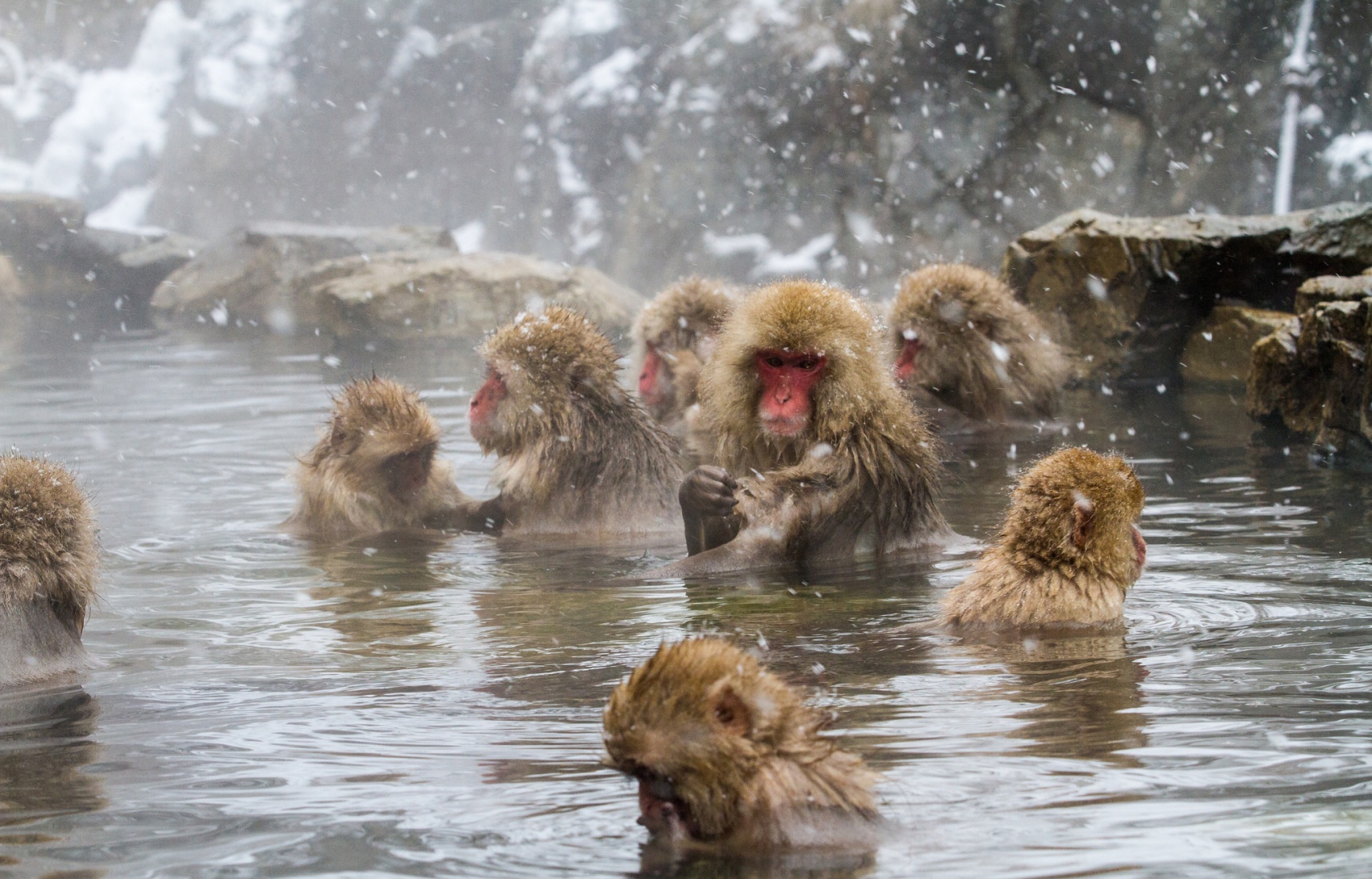 The Top 11 Hot Spring Hot Spots in Japan!