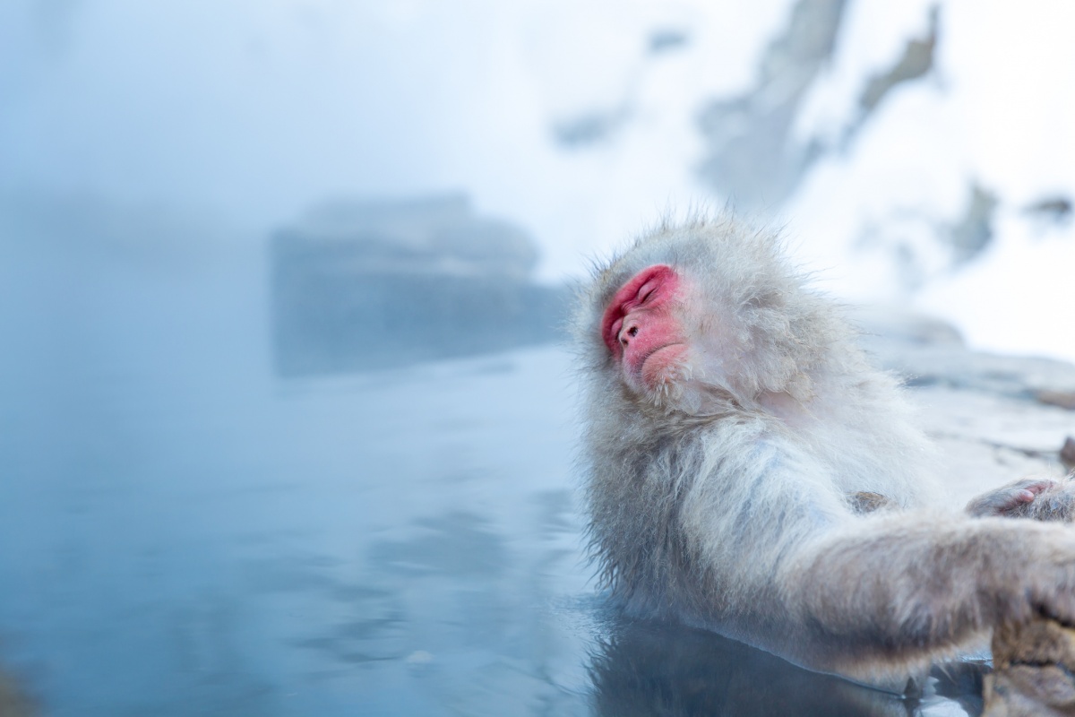 Yudanaka-onsen Hot Spring