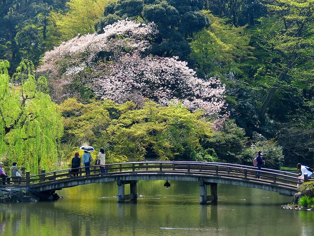 9. Shinjuku Gyoen (Tokyo)