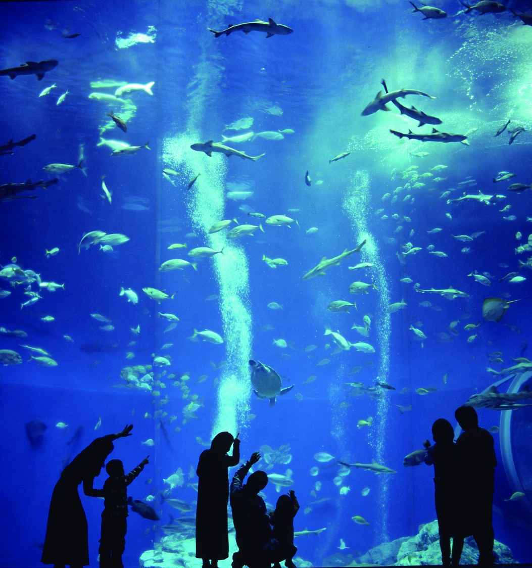 AQUA WORLD Ibaraki Prefectural Oarai Aquarium