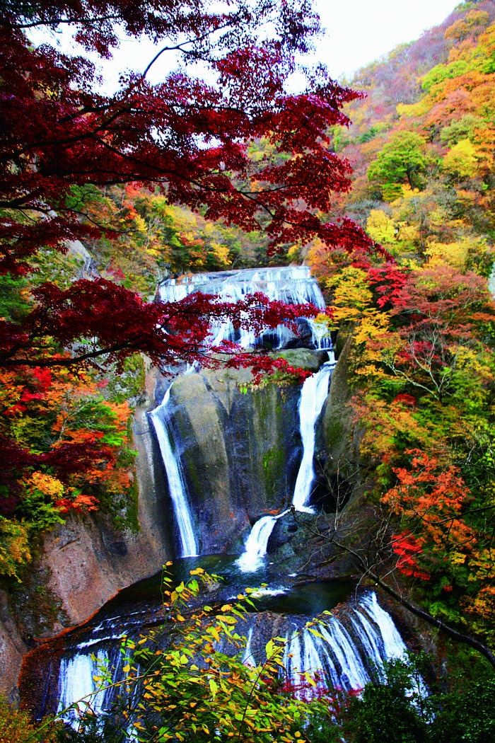 Fukuroda Falls (Autumn leaves)