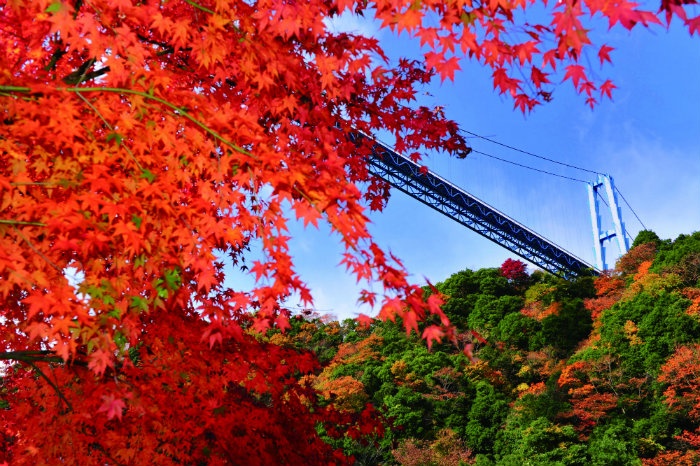Ryujin Big Suspension Bridge (Autumn leaves)