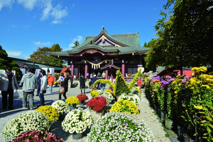 笠間稻荷神社（菊花節）