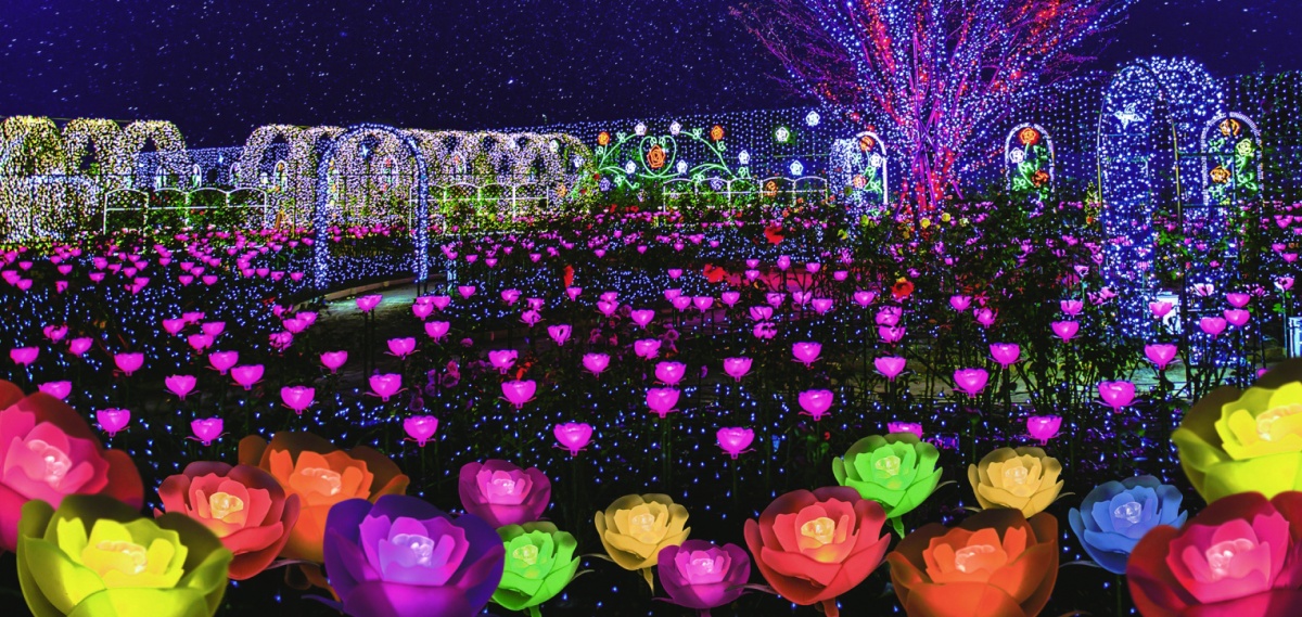 Ashikaga Flower Park