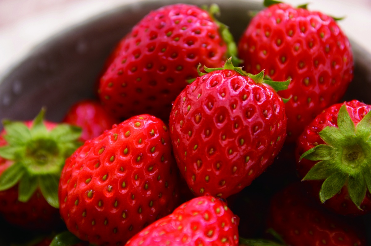 产量连续48年位列日本第一—栃木的草莓（栃木县）