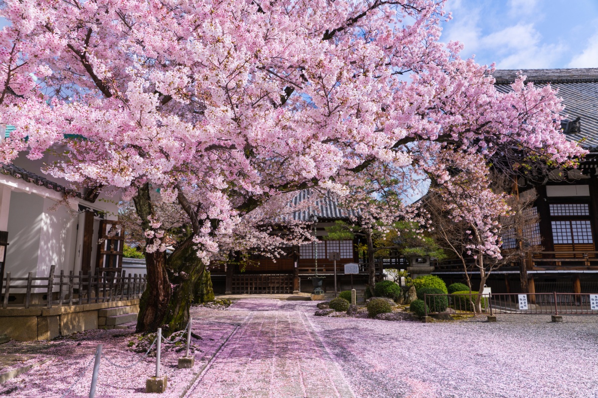 3. 本隆寺