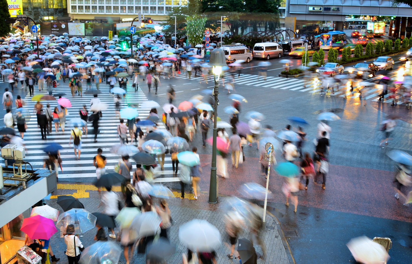 下雨天只有避雨才是正经事？东京雨季里这8件能免费嗨的事必须做！