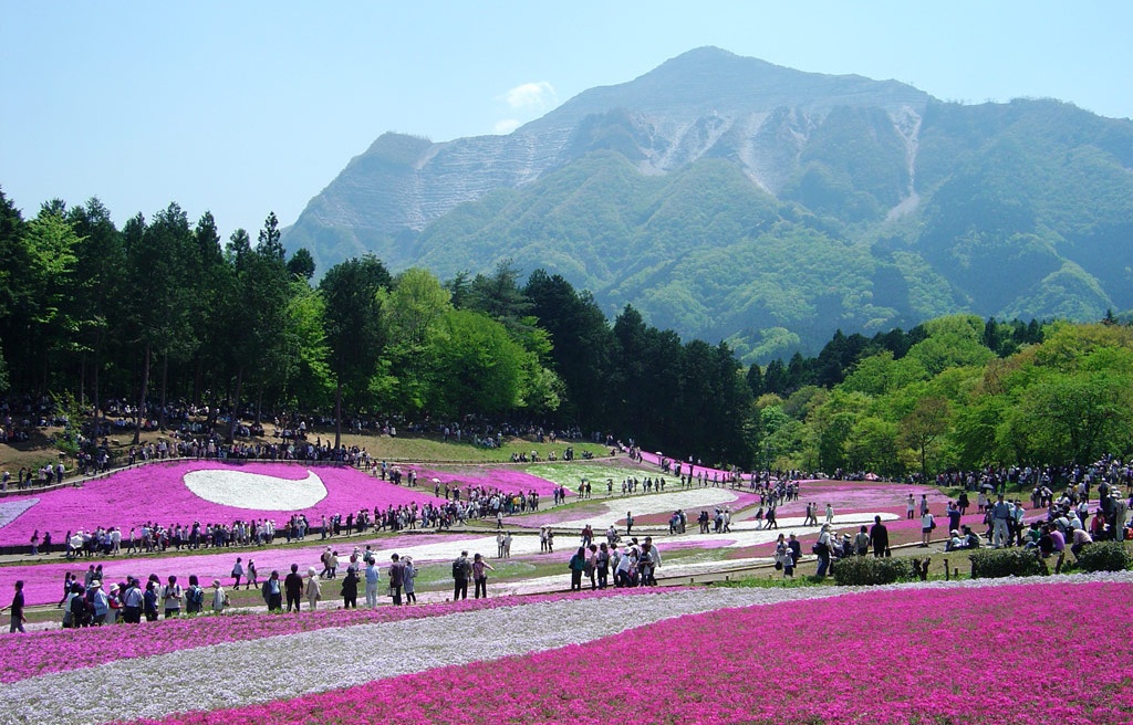 The 11 Best Things to See in Golden Week