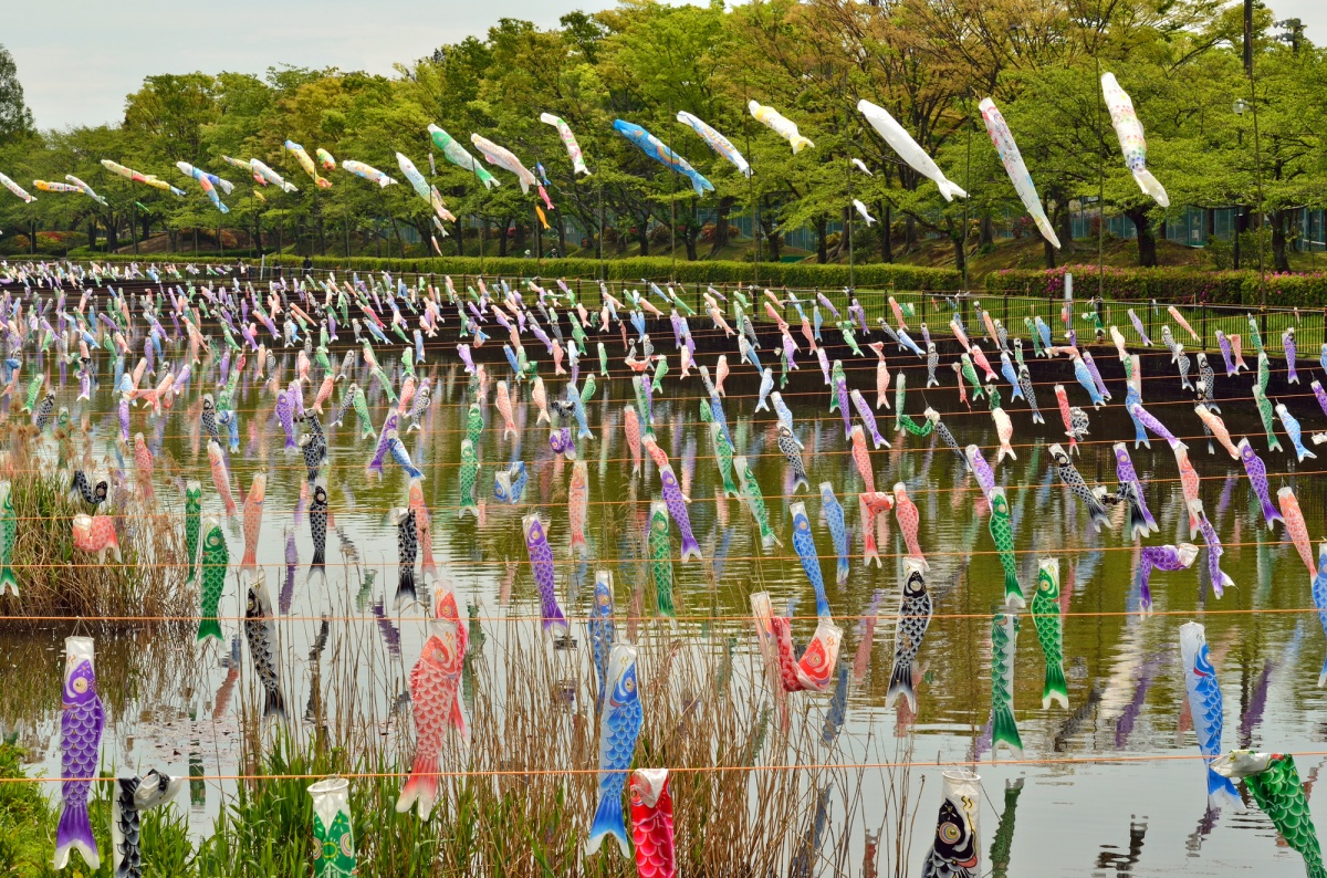 11. Koinobori Carp Streamer Village Festival (Gunma)