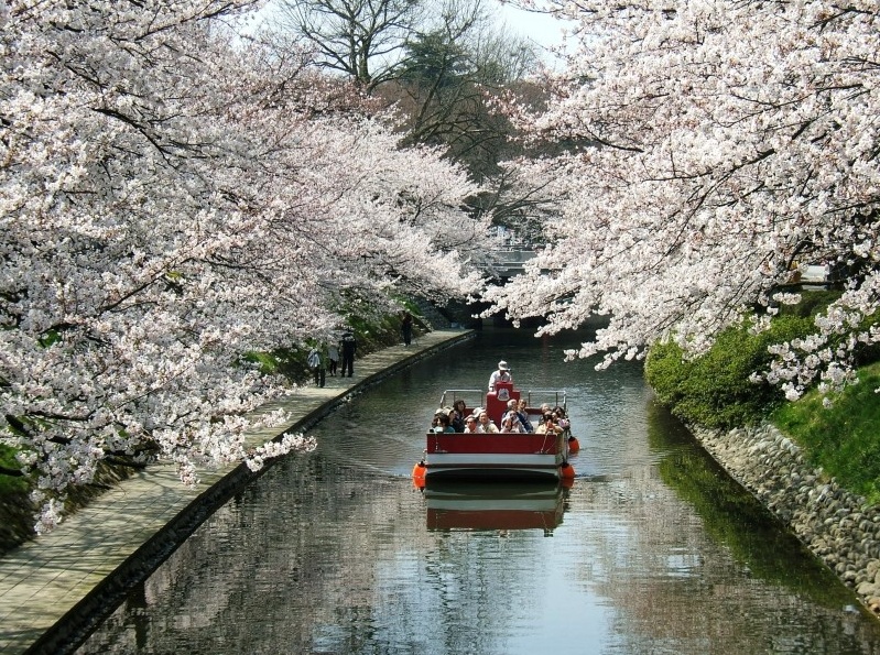 7. 松川的樱花，游船之旅