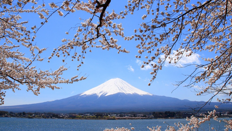 Mount Fuji: World Heritage Site