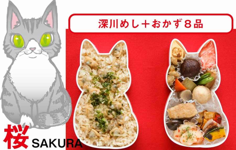 The Purrfect Bento Box for Cat Lovers