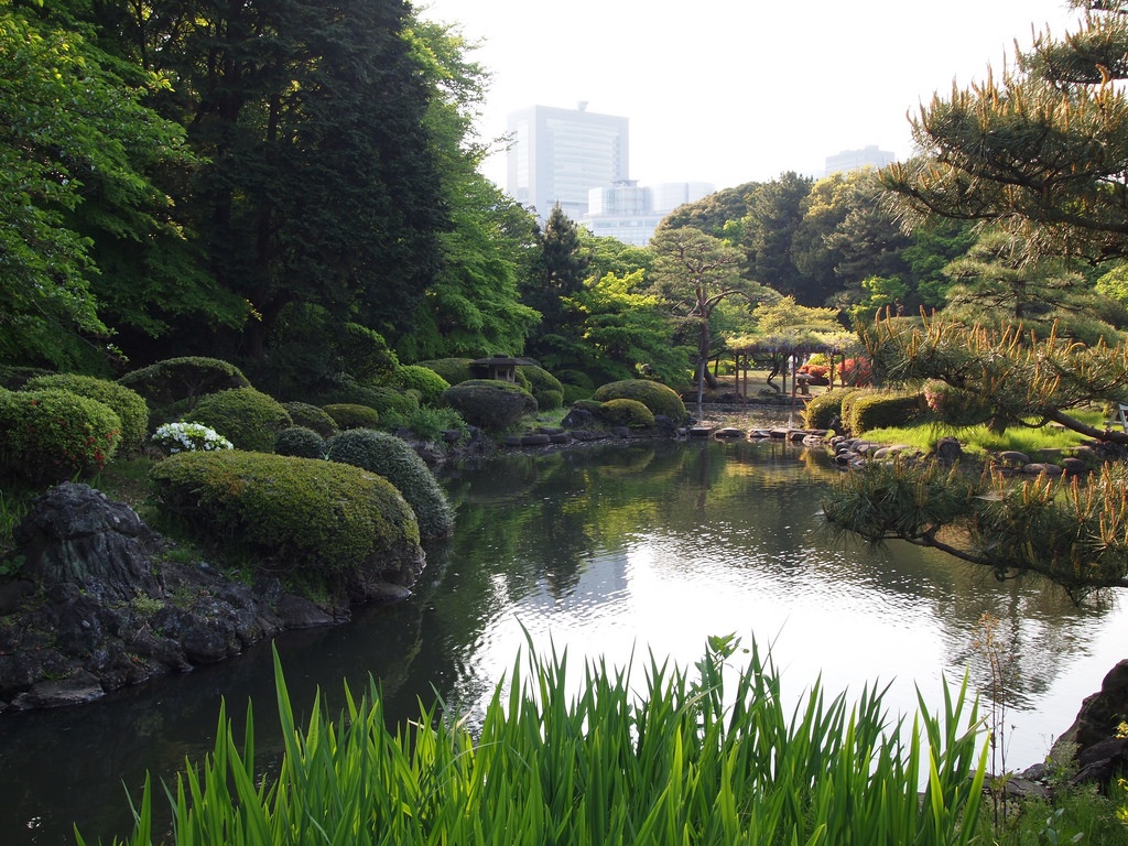 3. สวน Shinjuku Gyoen National Garden