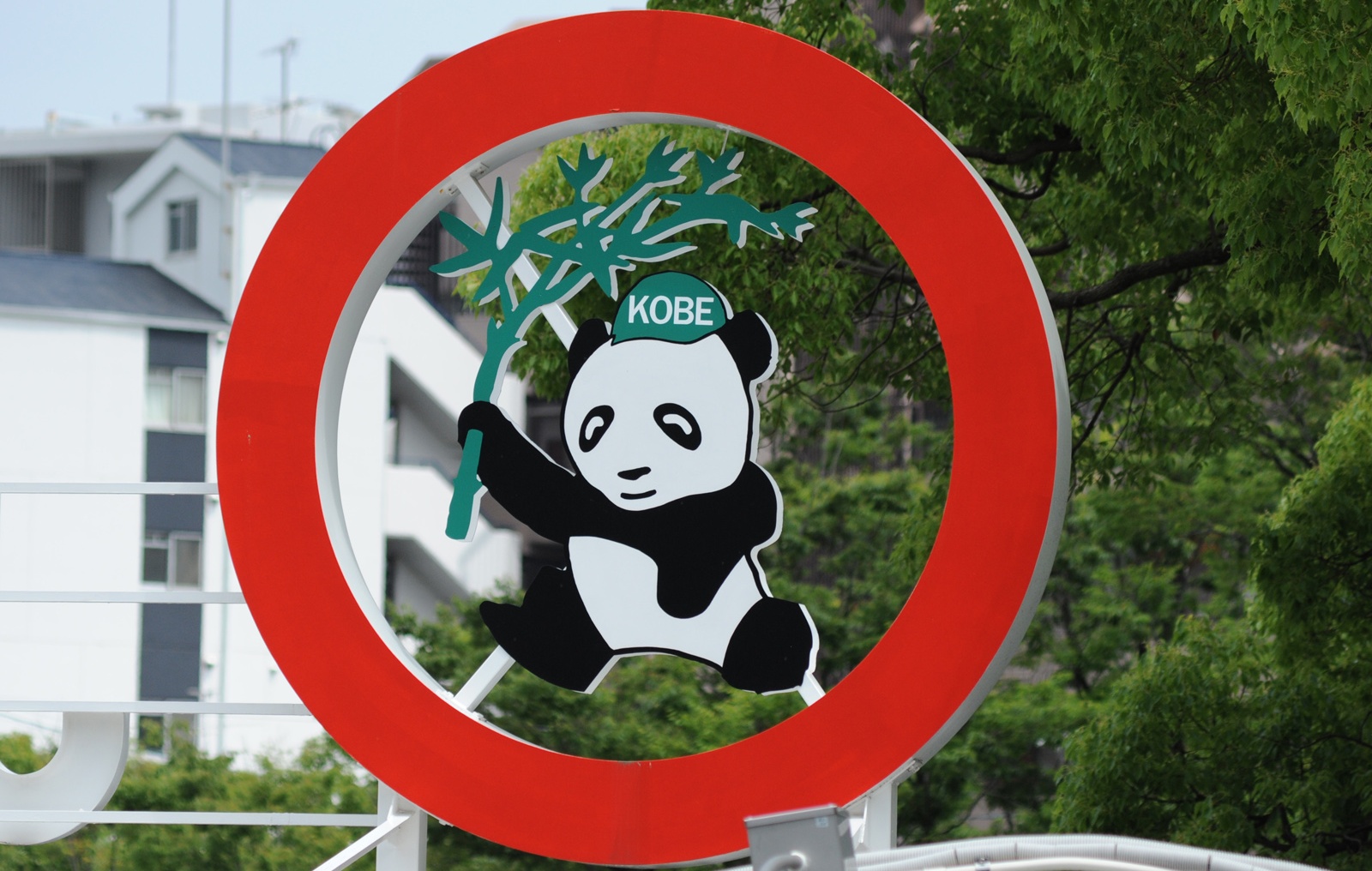 Meet a Giant Panda at Kobe Oji Zoo!