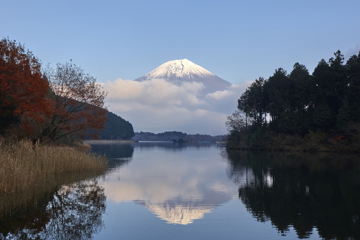 The Stunning Symbol of Japan