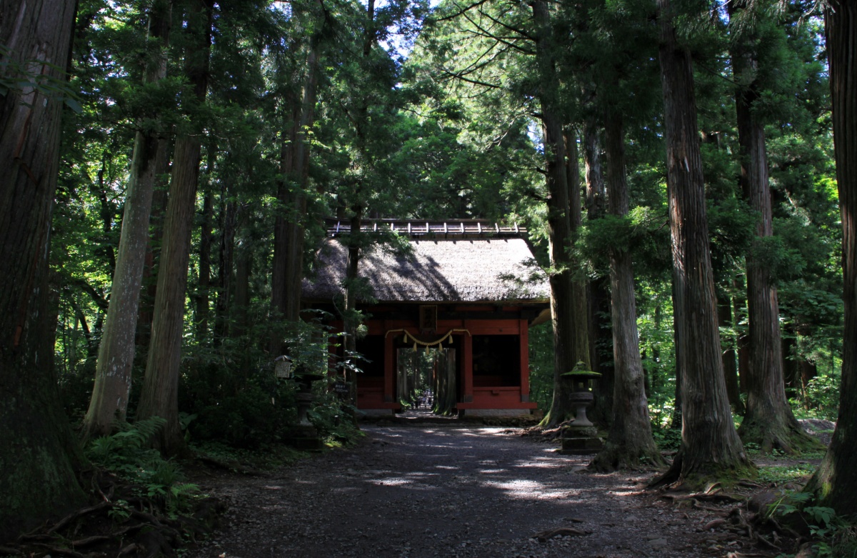 17. Togakushi Shrine (Nagano)