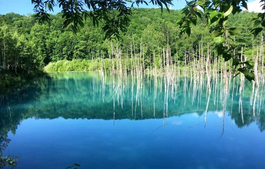 Gorgeous Blue Pond Is Worth a Trip Up North