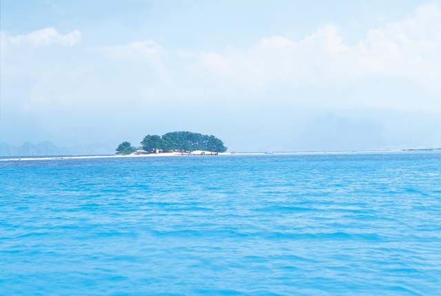 츠루가 만의 작은 섬