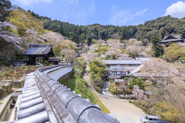 TOP13｜神奈川・長谷寺